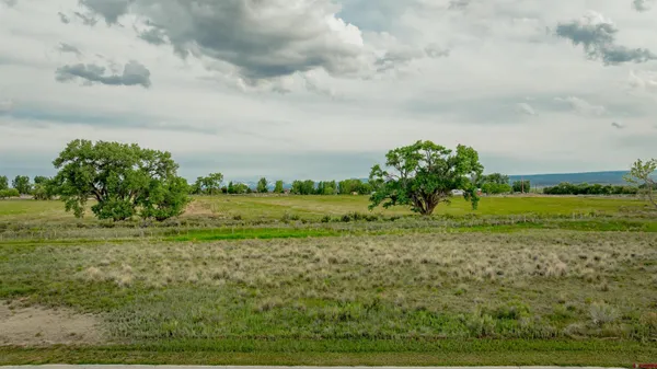 $140,000 | 3310 Donnegal Drive, Montrose, CO 81401