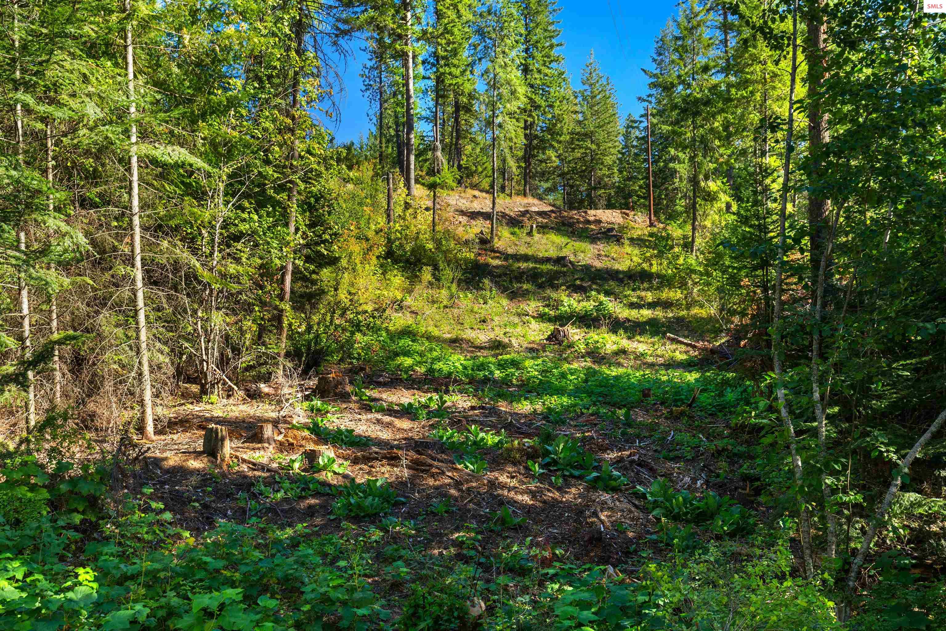 Nka Nka Stone Road Blanchard, ID 83804 - Photo 6 of 29 Gallery Image 6