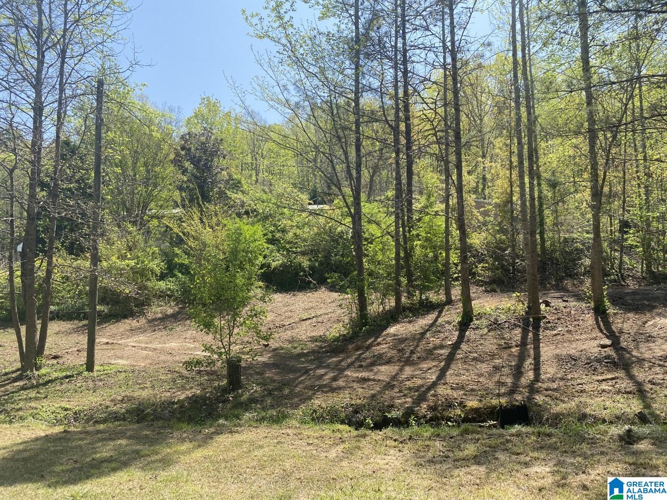 758 Moore Lane Springville, AL 35146 - Photo 2 of 21
