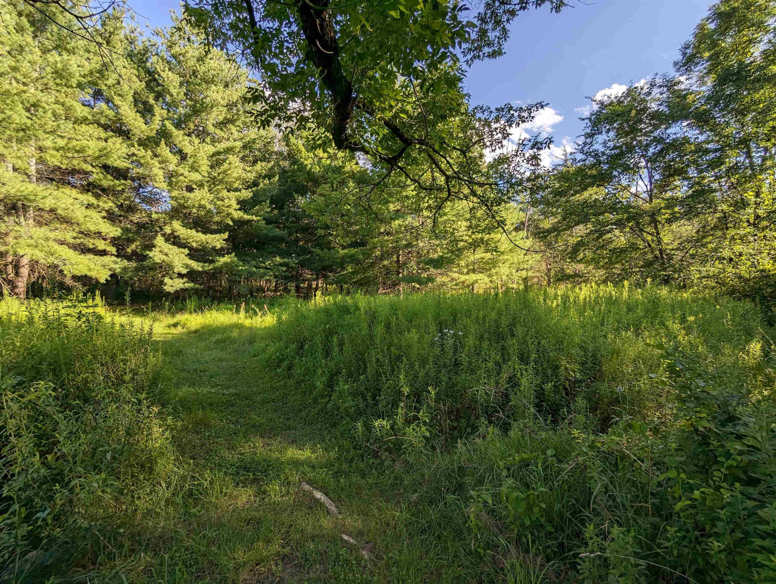 Tbd Berme Road Kerhonkson, NY 12446 - Photo 12 of 16 Photo 12