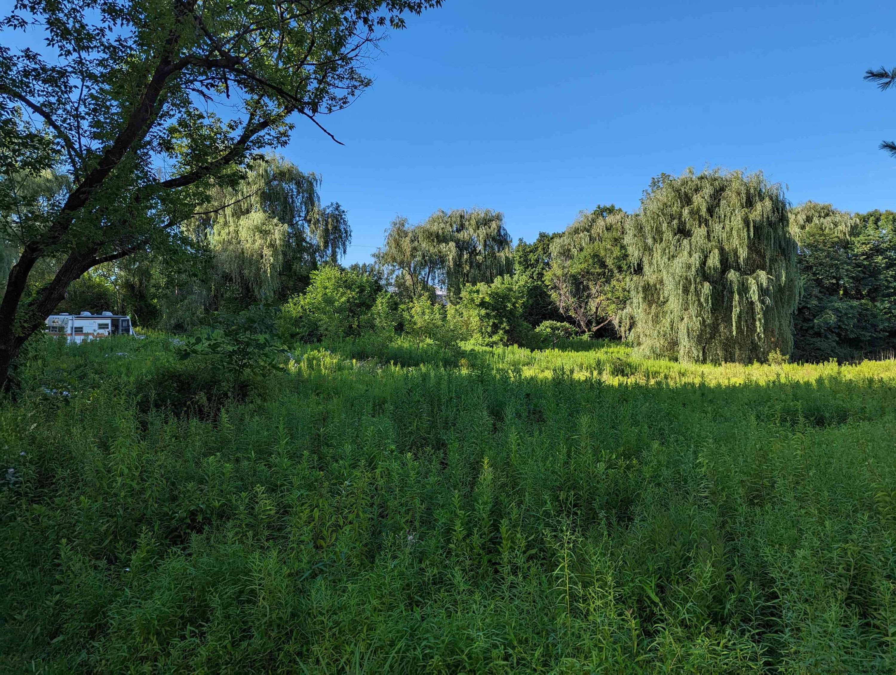 Tbd Berme Road Kerhonkson, NY 12446 - Photo 13 of 16 Photo 13