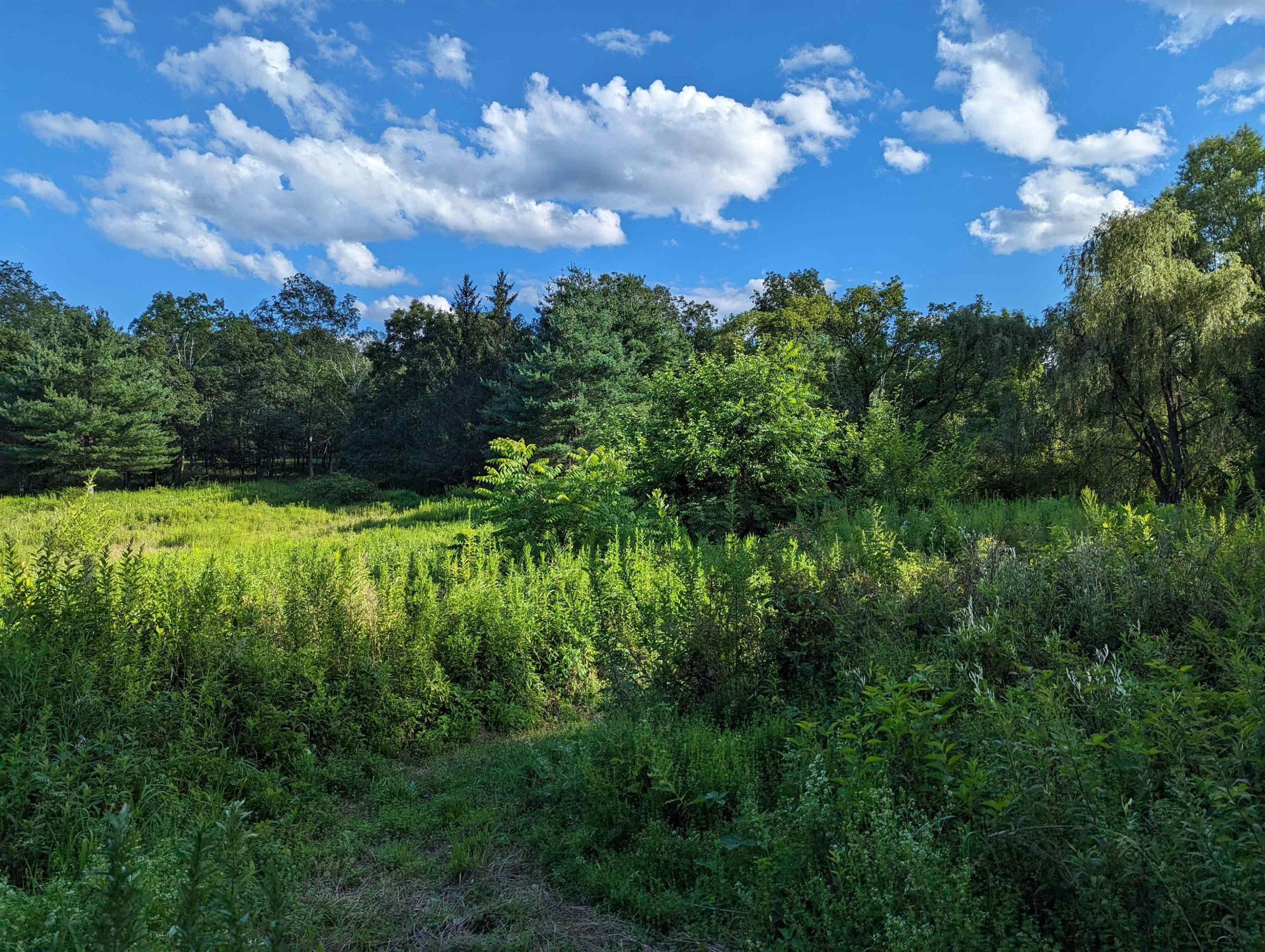 Tbd Berme Road Kerhonkson, NY 12446 - Photo 14 of 16 Photo 14