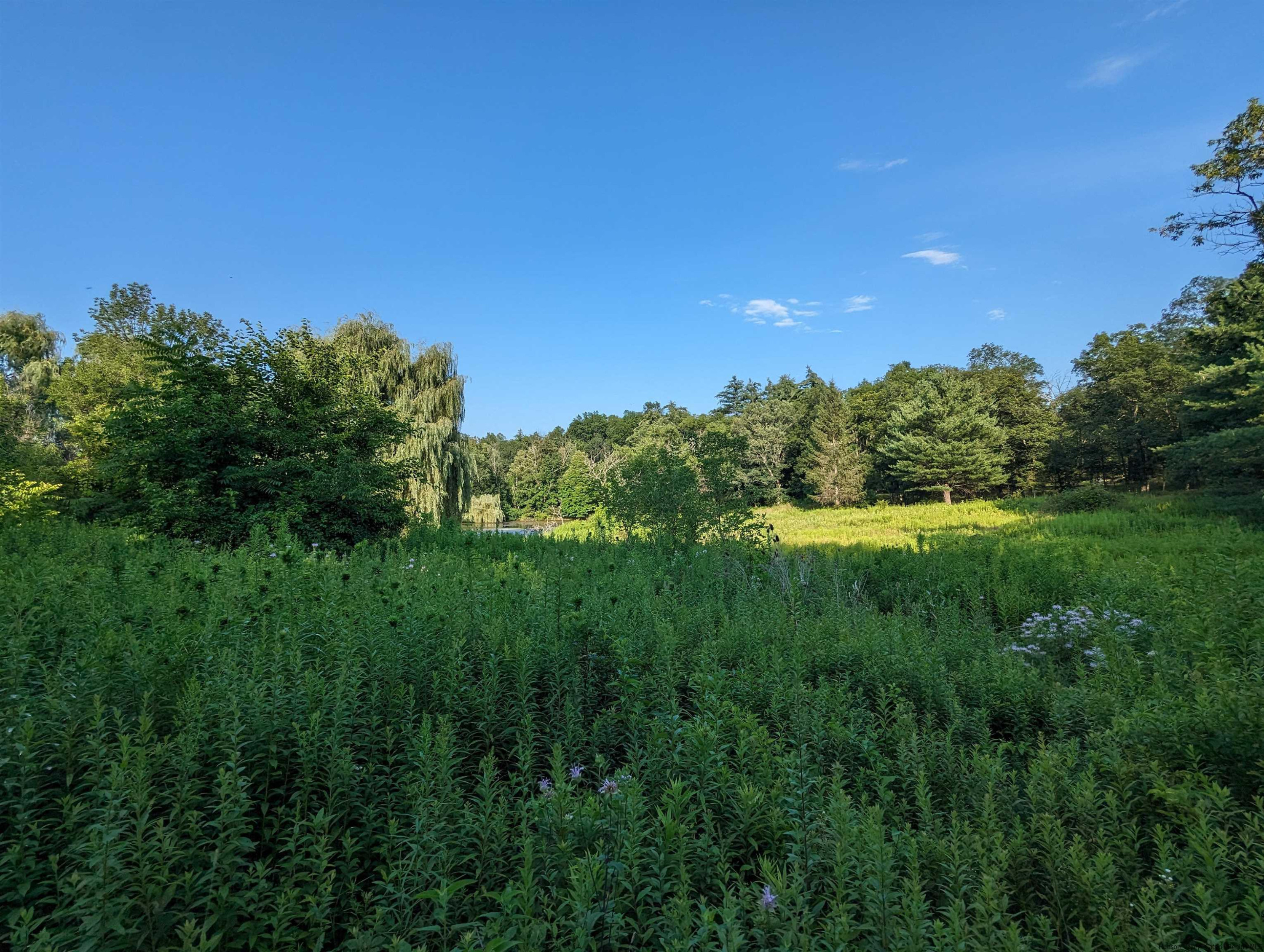 Tbd Berme Road Kerhonkson, NY 12446 - Photo 8 of 16 Photo 8