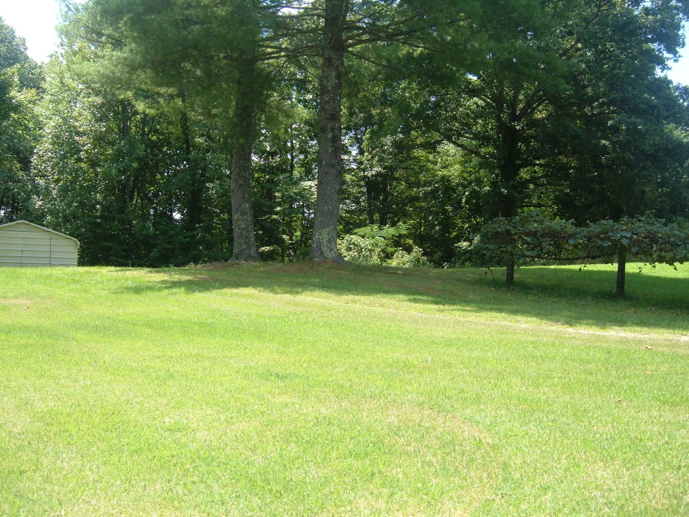 801 New Light Road Winfield, TN 37892 - Photo 3 of 15 801 New Light Cir (3)