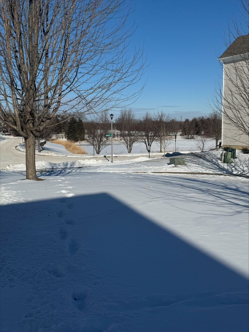 3210 Neubauer Circle Lindenhurst, IL 60046 - Photo 35 of 36