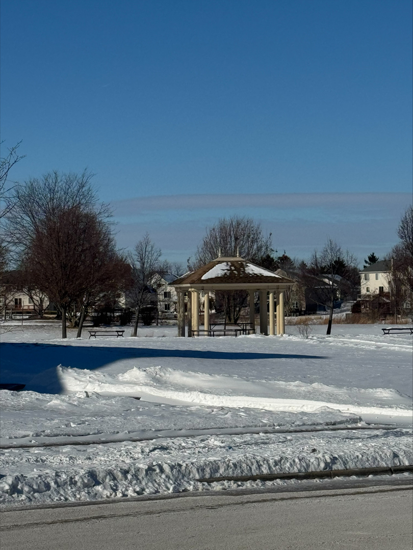 3210 Neubauer Circle Lindenhurst, IL 60046 - Photo 36 of 36