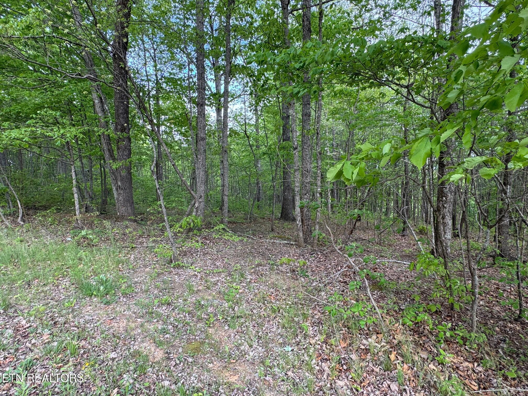 Slaven Ridge Road Jamestown, TN 38556 - Photo 5 of 10 new slaven 3