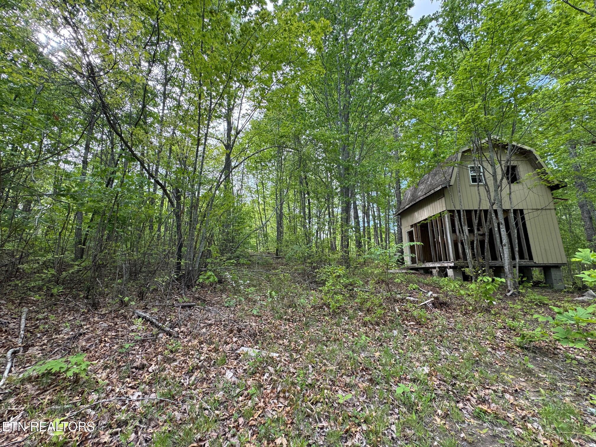Slaven Ridge Road Jamestown, TN 38556 - Photo 8 of 10 slaven 3