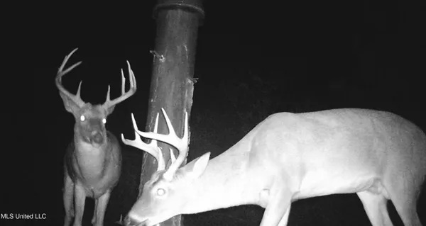 $127,400 | 960 Old 51 Road, Pickens, MS 39146