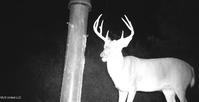 $127,400 | 960 Old 51 Road, Pickens, MS 39146