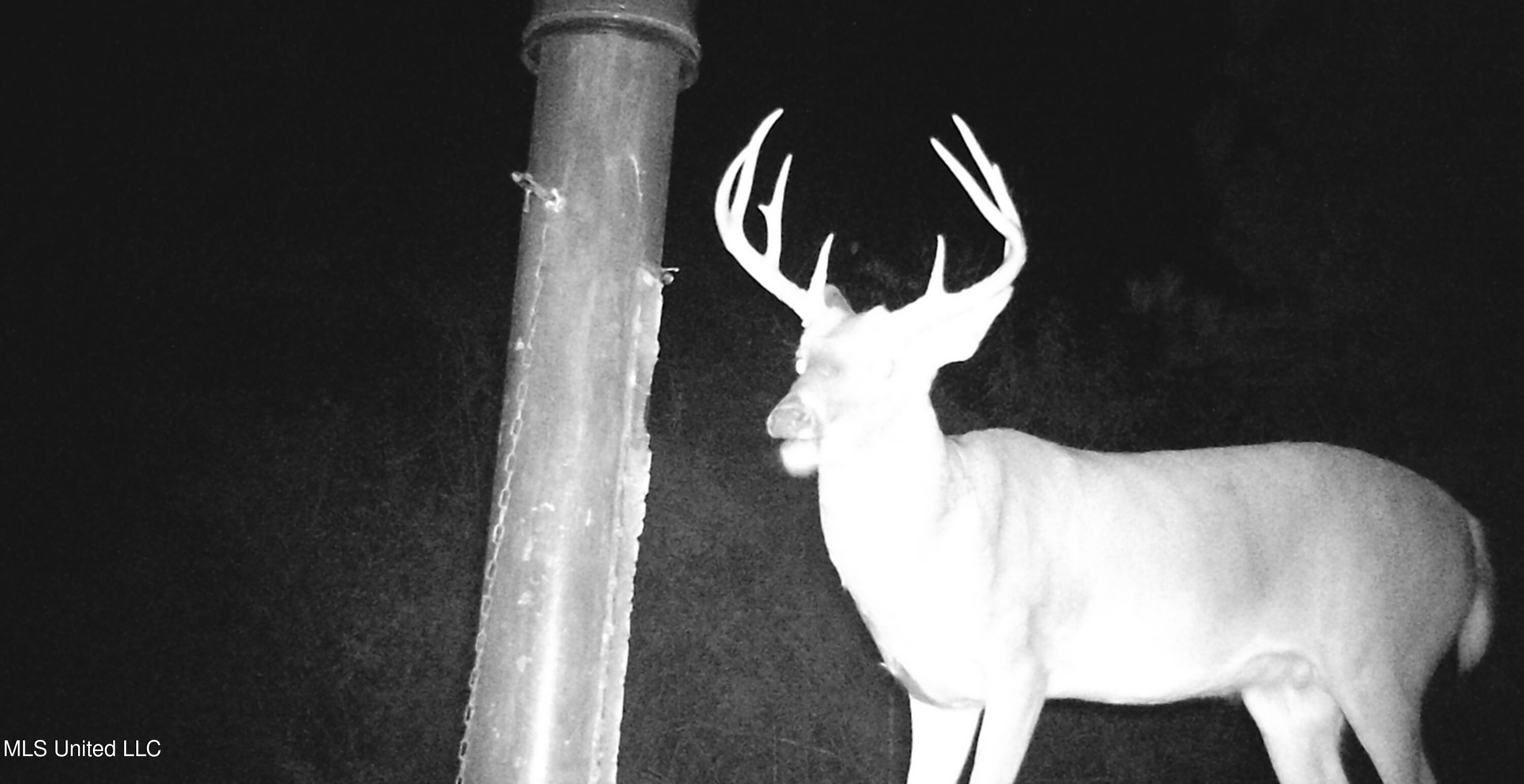 960 Old 51 Road Pickens, MS 39146 - Photo 14 of 17 WGI_0128