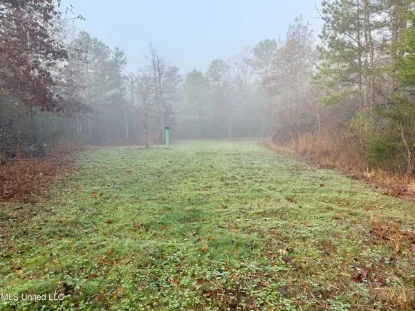 $127,400 | 960 Old 51 Road, Pickens, MS 39146