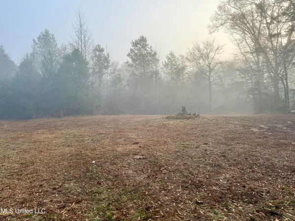 $127,400 | 960 Old 51 Road, Pickens, MS 39146