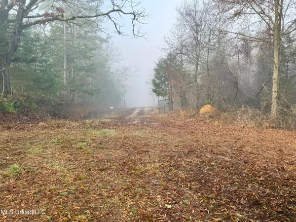 $127,400 | 960 Old 51 Road, Pickens, MS 39146