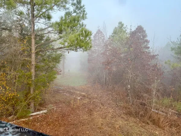 $127,400 | 960 Old 51 Road, Pickens, MS 39146