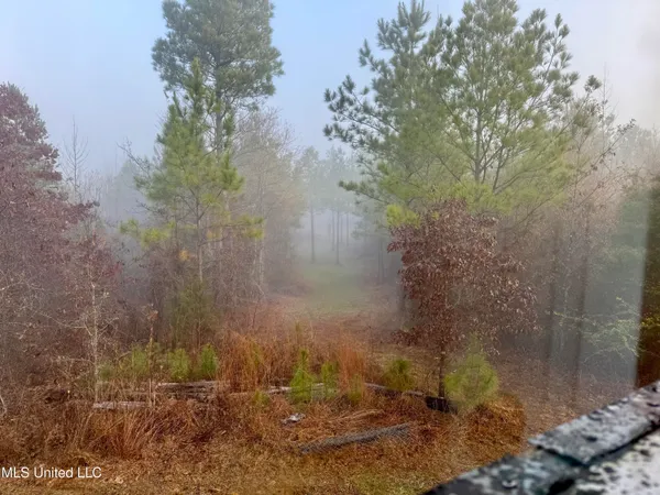 $127,400 | 960 Old 51 Road, Pickens, MS 39146