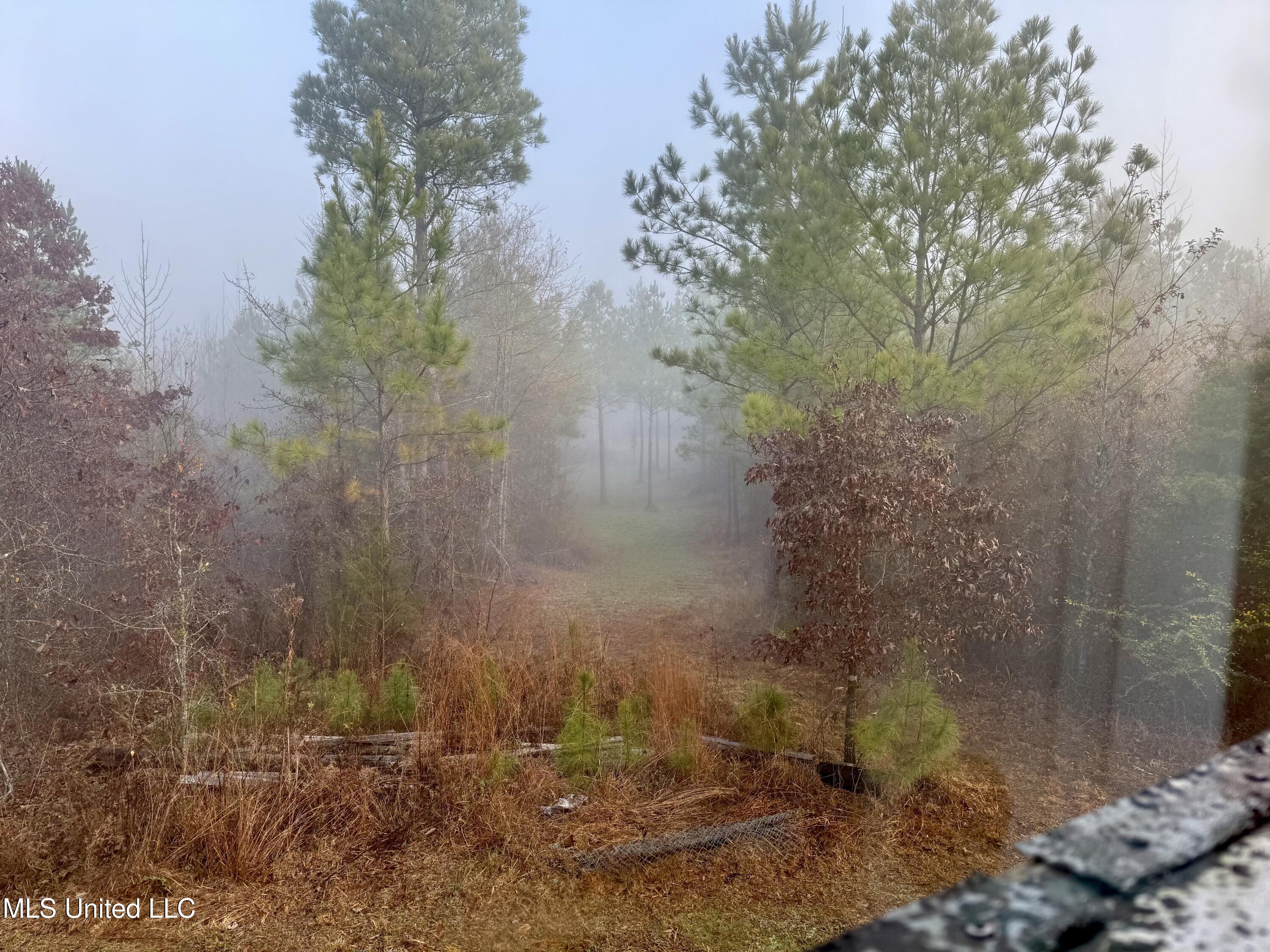 960 Old 51 Road Pickens, MS 39146 - Photo 6 of 17 Photo Dec 24 2025, 8 11 28 AM