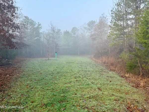 $127,400 | 960 Old 51 Road, Pickens, MS 39146