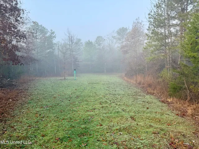 $127,400 | 960 Old 51 Road, Pickens, MS 39146