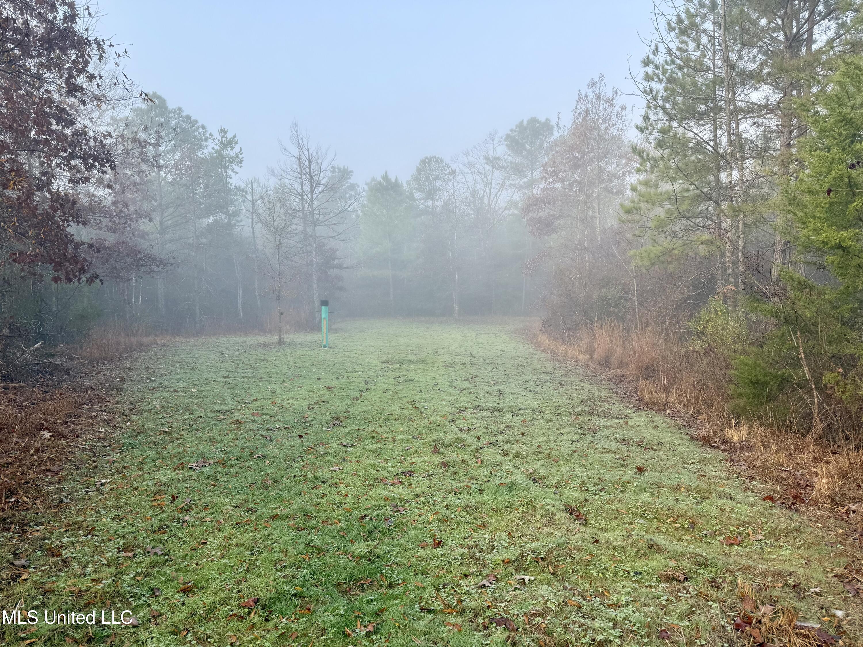 960 Old 51 Road Pickens, MS 39146 - Photo 7 of 17 Photo Dec 24 2025, 8 13 36 AM