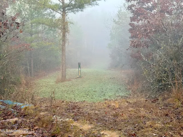 $127,400 | 960 Old 51 Road, Pickens, MS 39146