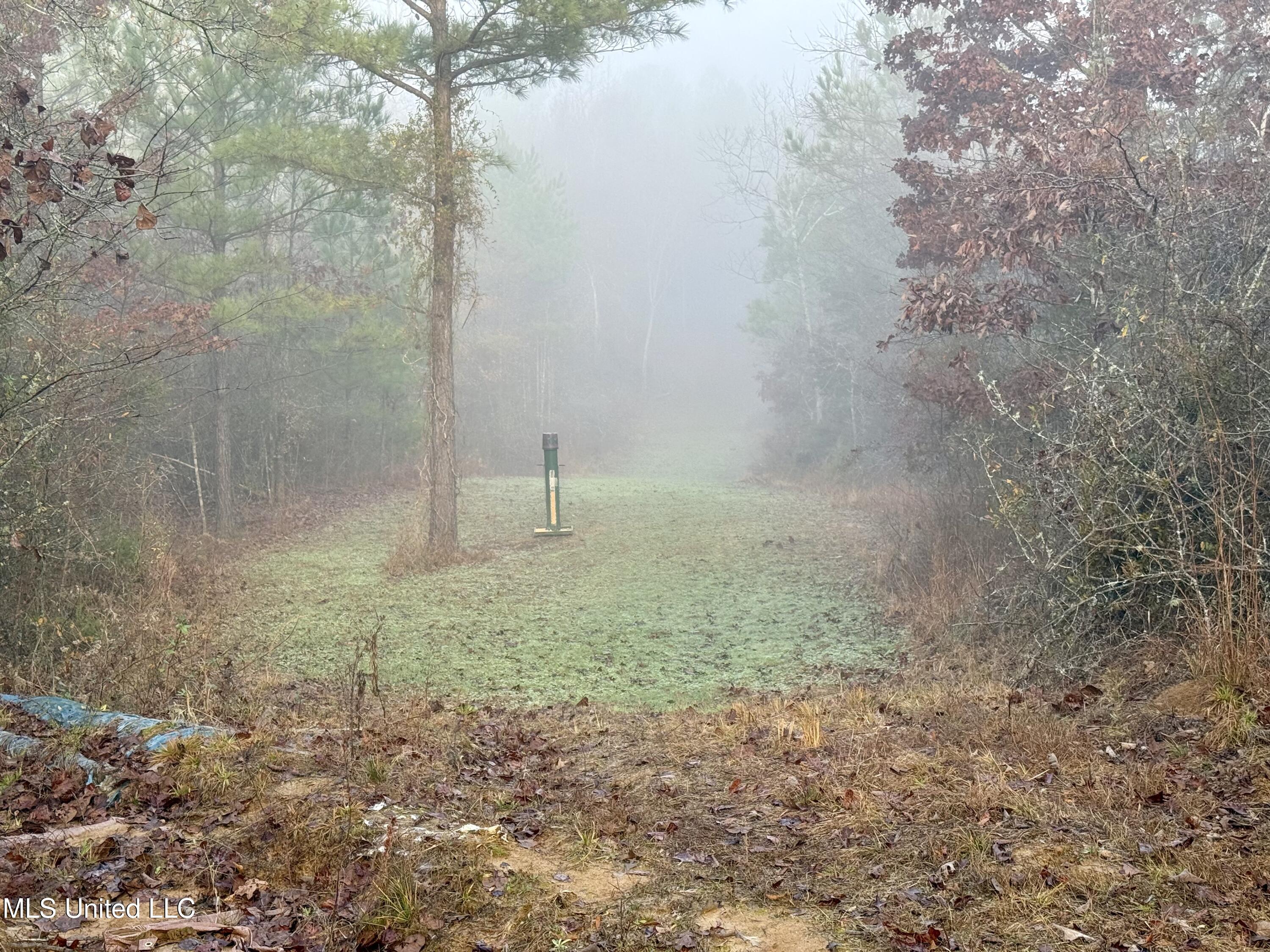 960 Old 51 Road Pickens, MS 39146 - Photo 8 of 17 Photo Dec 24 2025, 8 14 42 AM