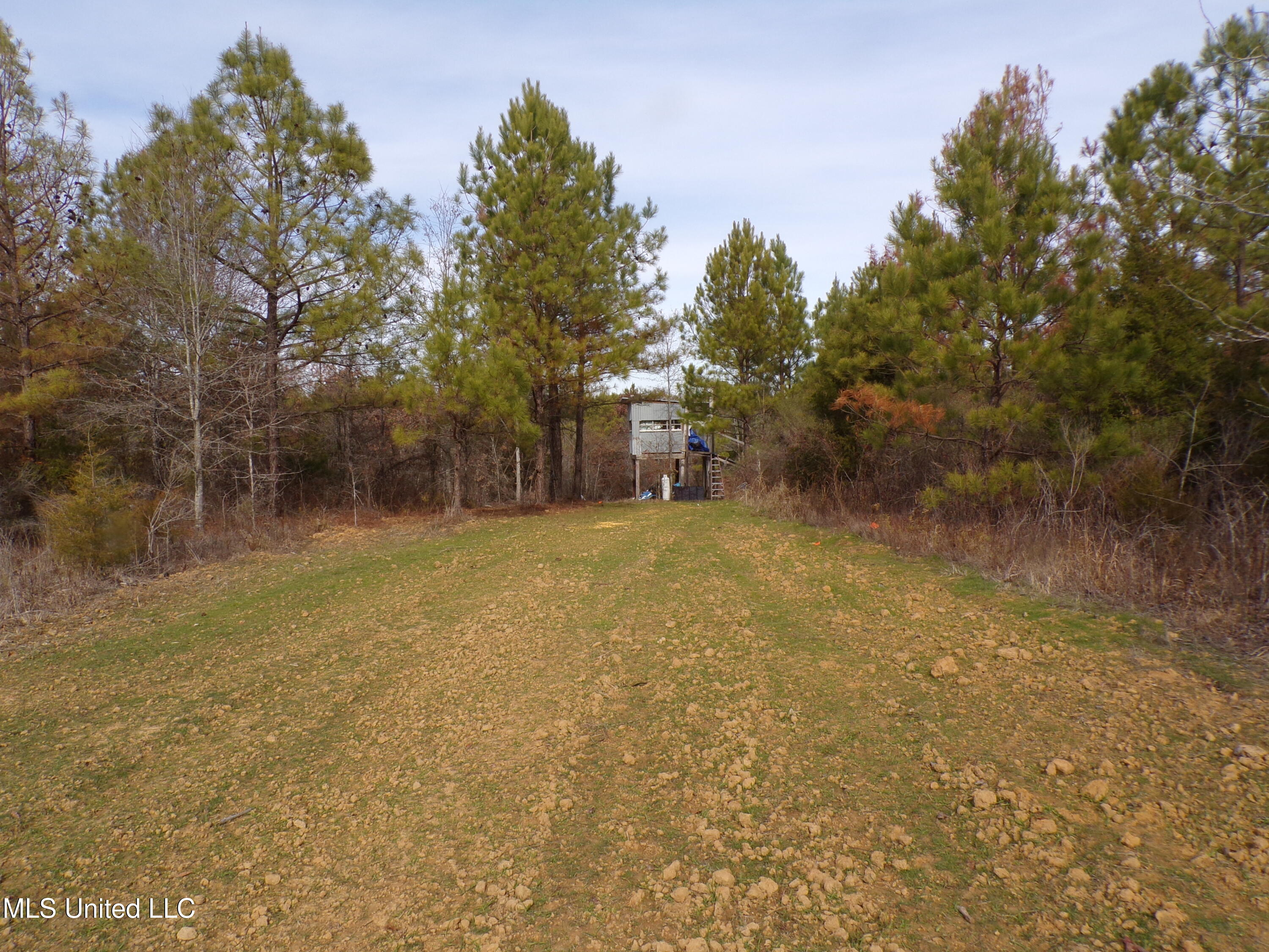 960 Old 51 Road Pickens, MS 39146 - Photo 9 of 17 100_0259
