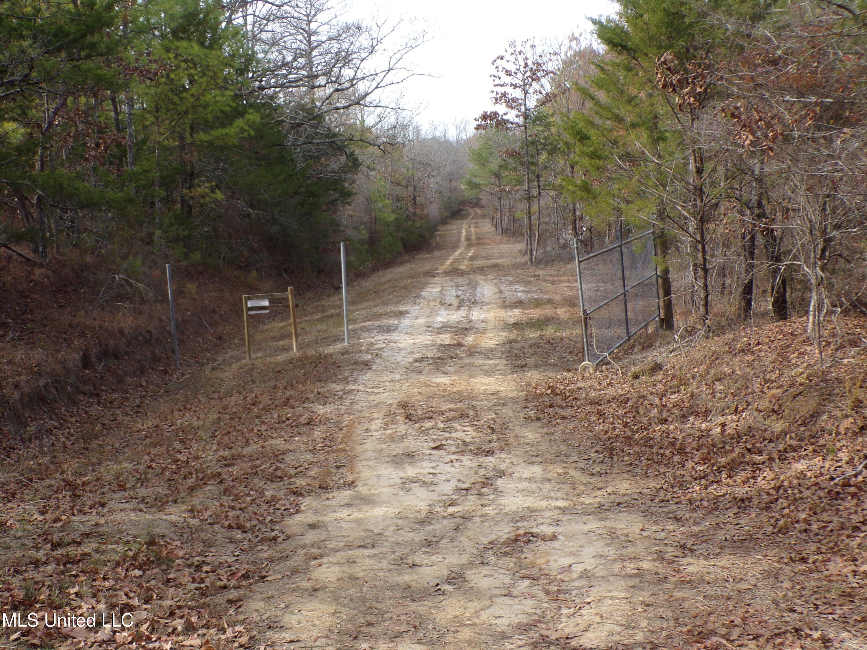 960 Old 51 Road Pickens, MS 39146 - Photo 10 of 17 100_0263
