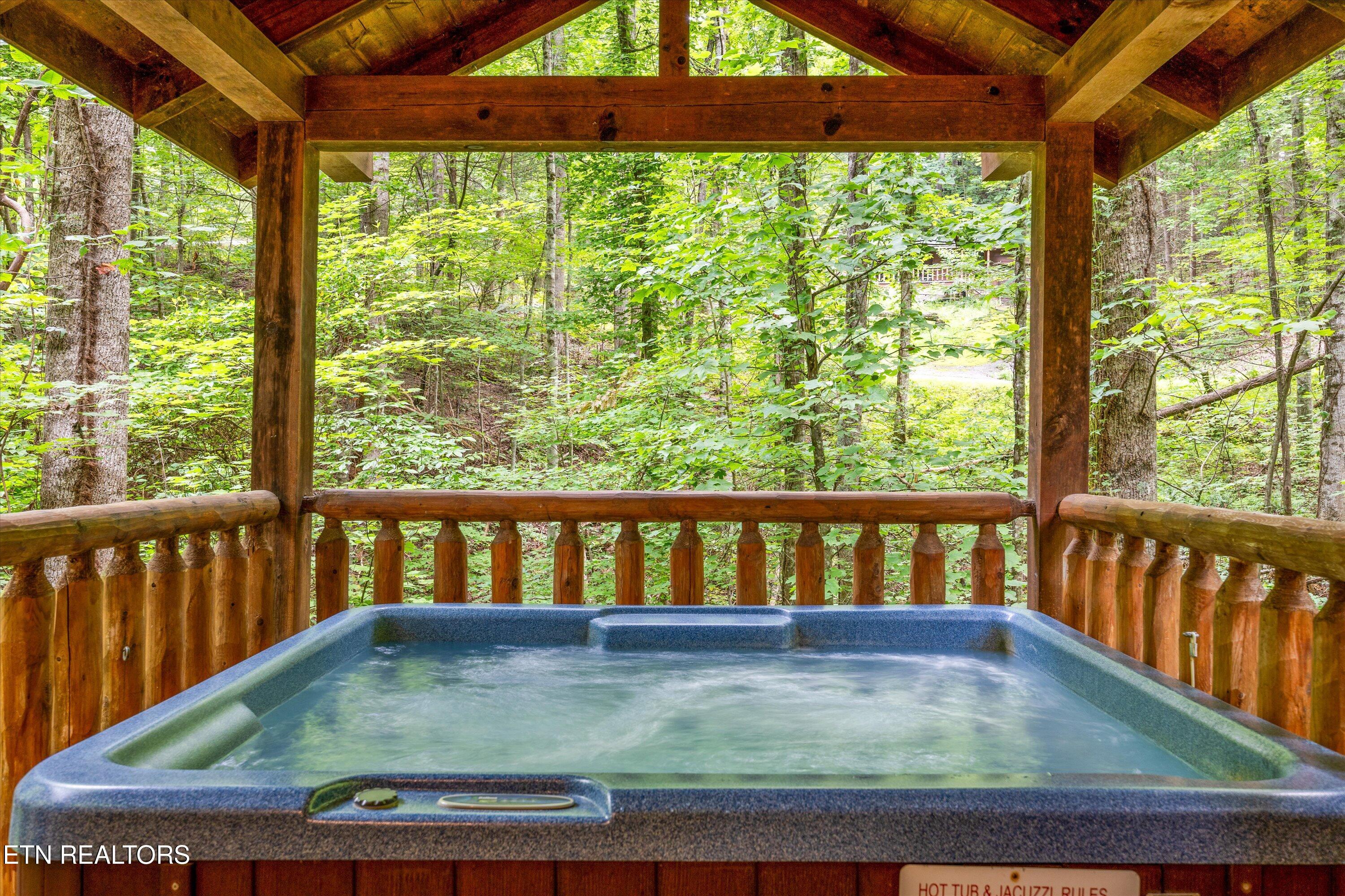 927 Stone Trail Sevierville, TN 37876 - Photo 28 of 41 28-927 Stone Trail26