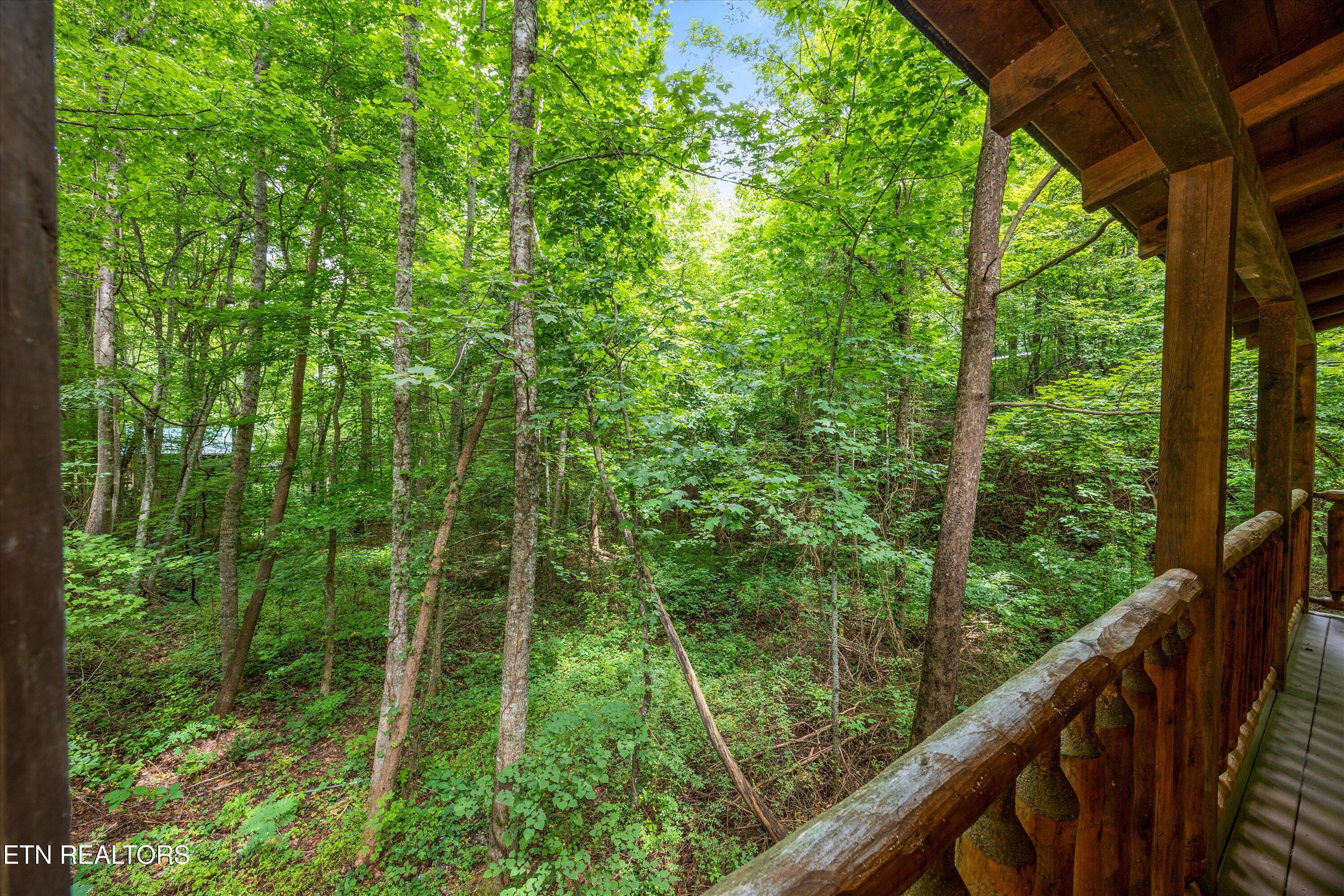 927 Stone Trail Sevierville, TN 37876 - Photo 32 of 41 32-927 Stone Trail25