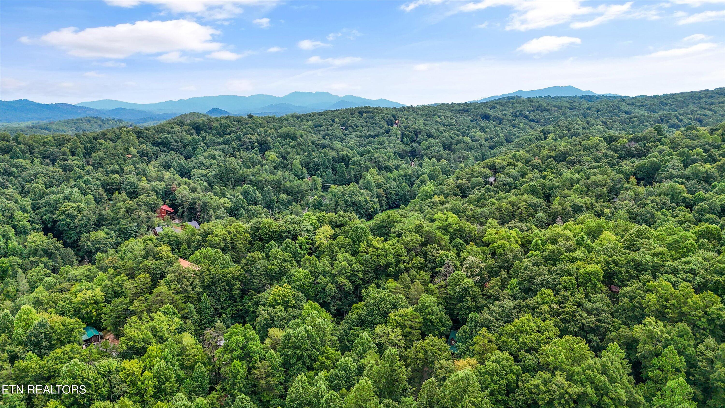 927 Stone Trail Sevierville, TN 37876 - Photo 40 of 41 40-927 Stone Trail39