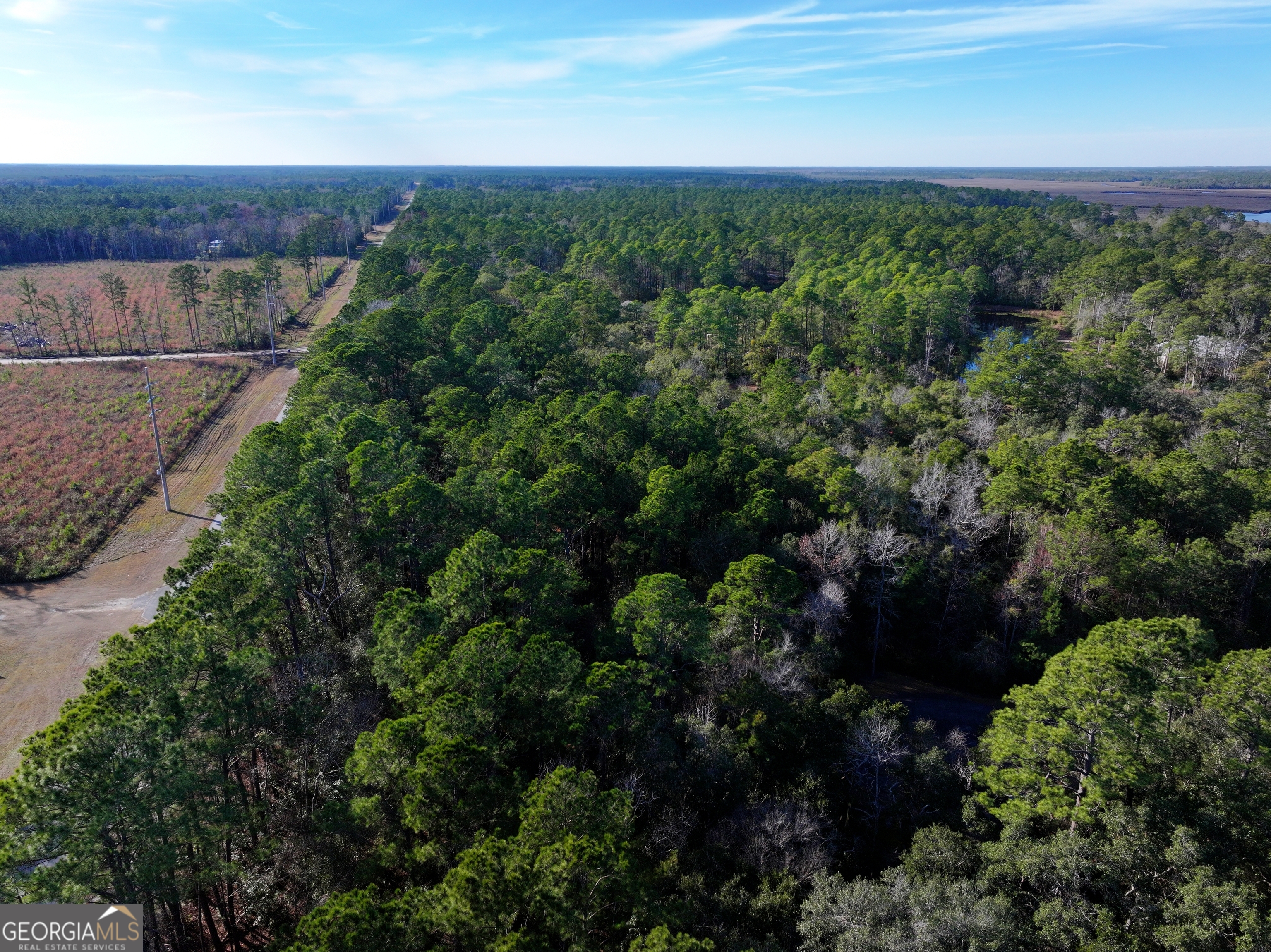 0 Merlin Court Waverly, GA 31565 - Photo 13 of 22 an aerial view of a house with a yard