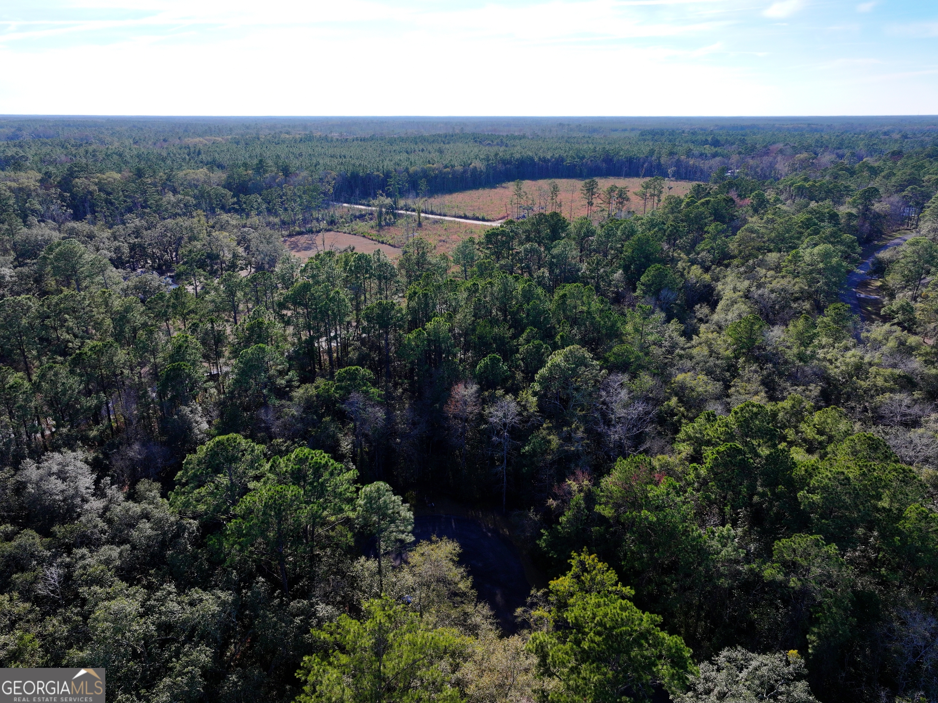 0 Merlin Court Waverly, GA 31565 - Photo 14 of 22 an aerial view of a house with a yard