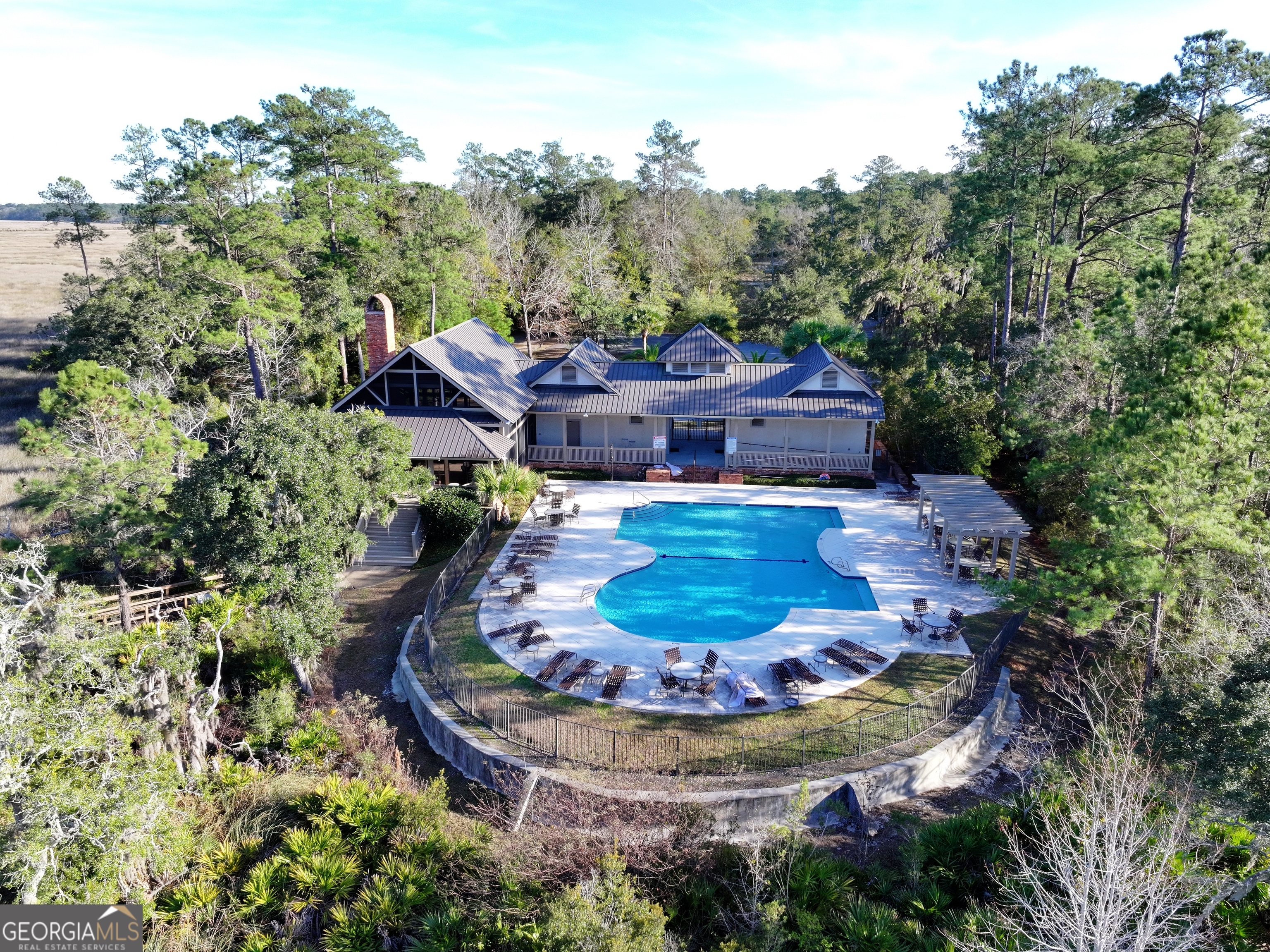 0 Merlin Court Waverly, GA 31565 - Photo 21 of 22 a swimming pool with trees in the background
