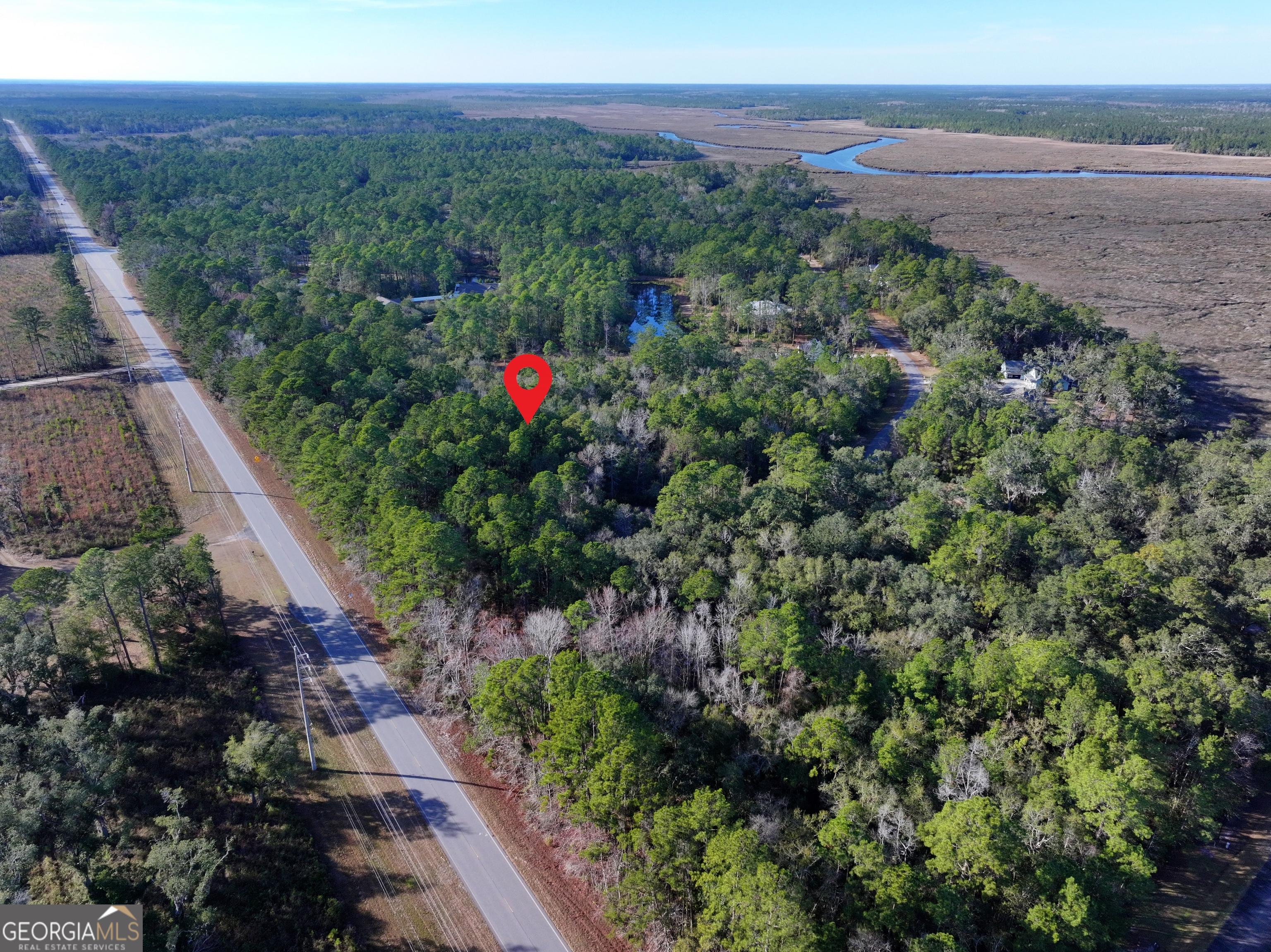 0 Merlin Court Waverly, GA 31565 - Photo 3 of 22 a view of a green field with mountains in the background