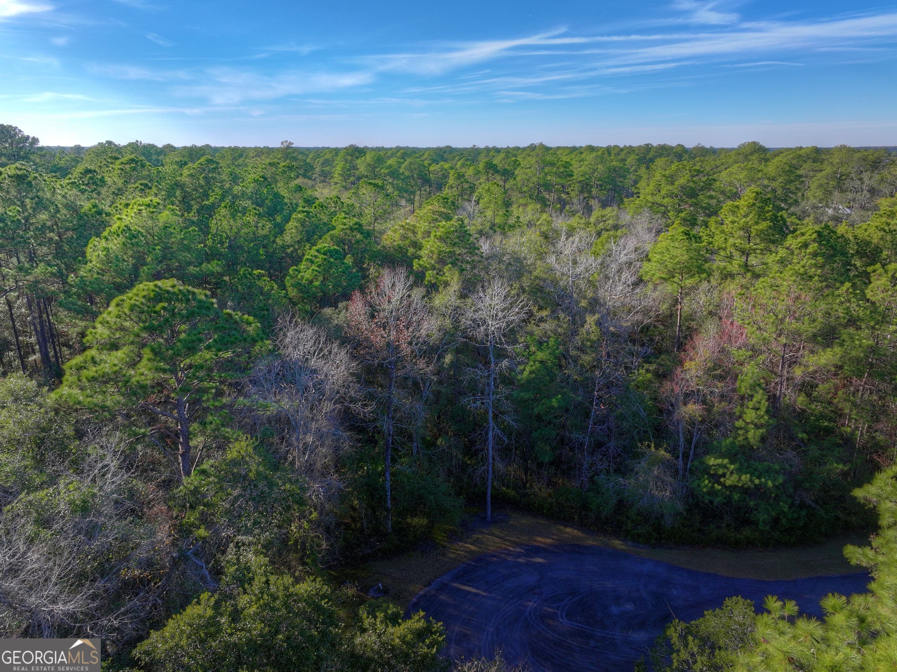 0 Merlin Court Waverly, GA 31565 - Photo 4 of 22 a view of a lush green forest with lots of trees