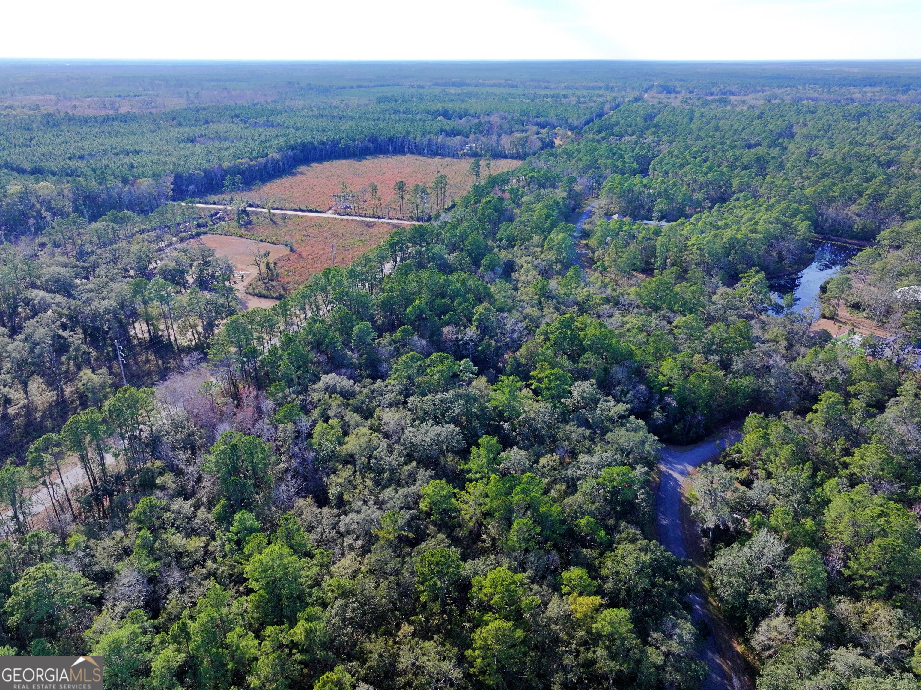 0 Merlin Court Waverly, GA 31565 - Photo 6 of 22 an aerial view of a house with a yard