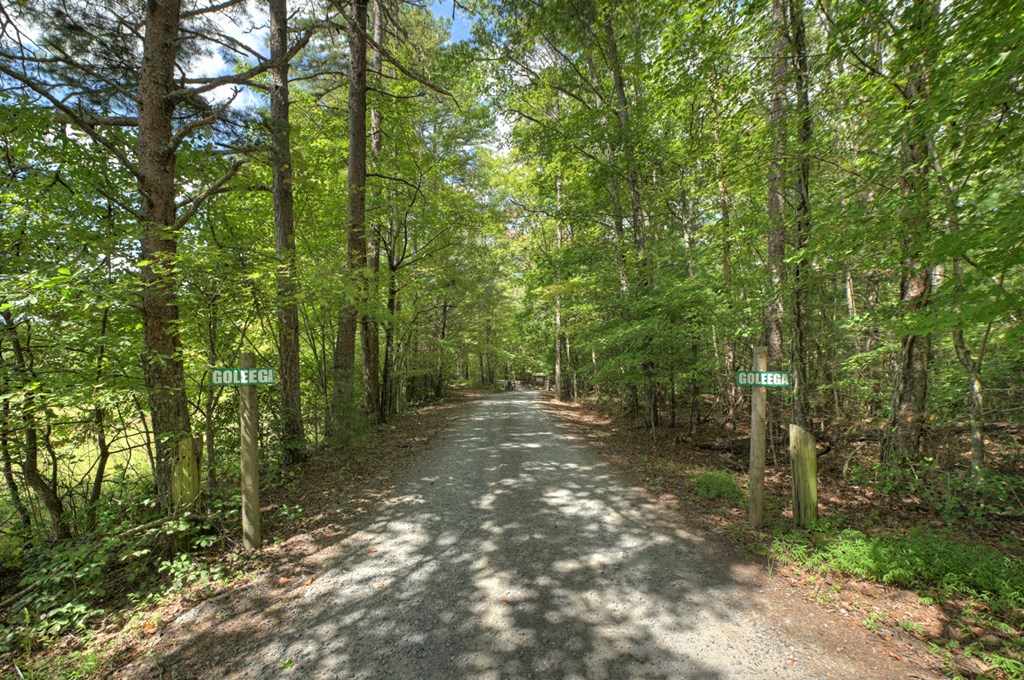 Lot 5 Chief Ron Green Trail Blue Ridge, GA 30513 - Photo 3 of 18 Gallery Image 3