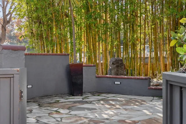 a view of a backyard with potted plants