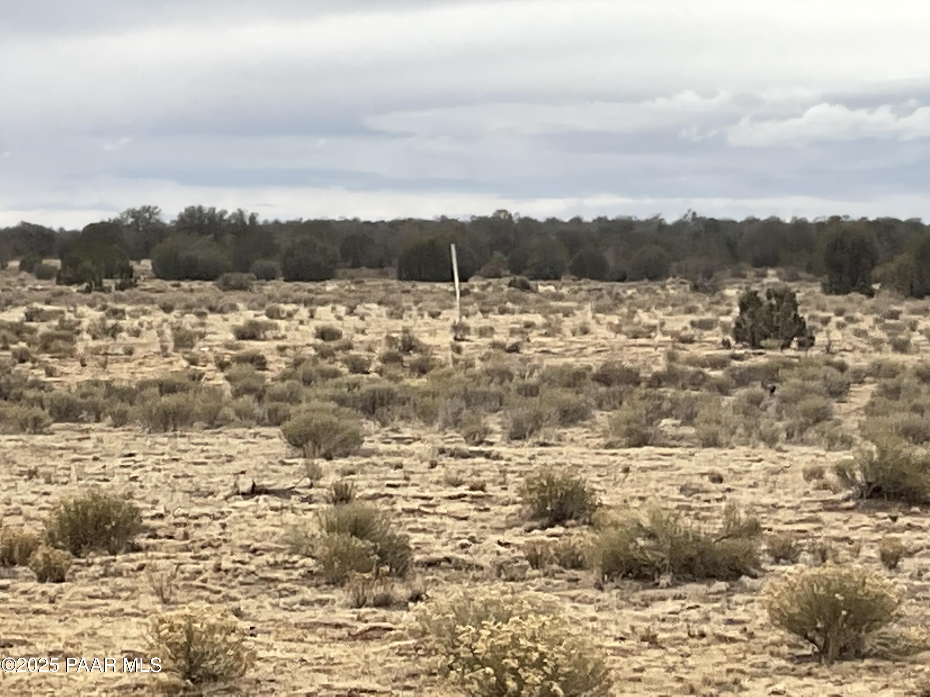 105 Ravens Rest Road Seligman, AZ 86337 - Photo 1 of 6 IMG_2264