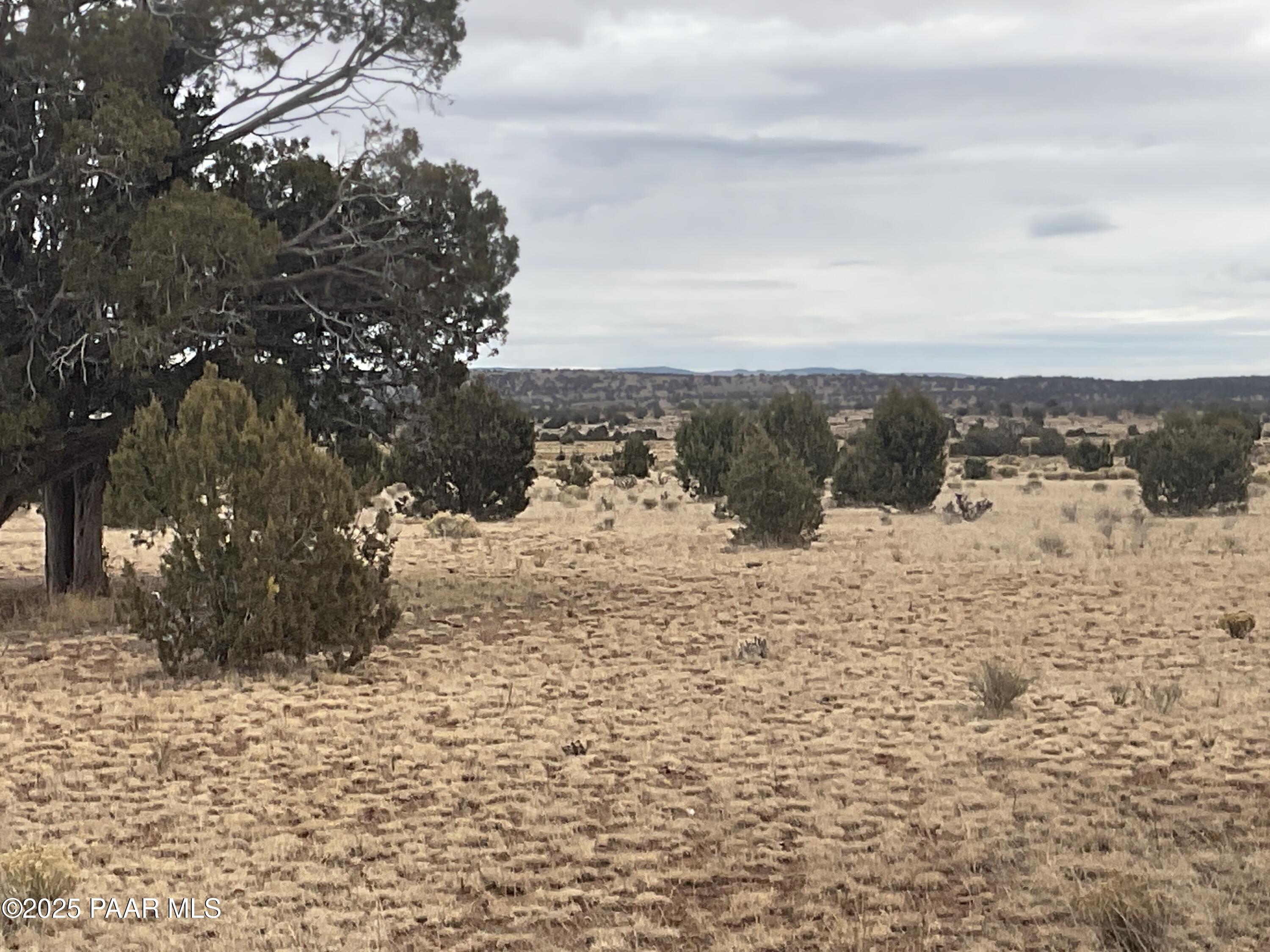 105 Ravens Rest Road Seligman, AZ 86337 - Photo 5 of 6 IMG_2244