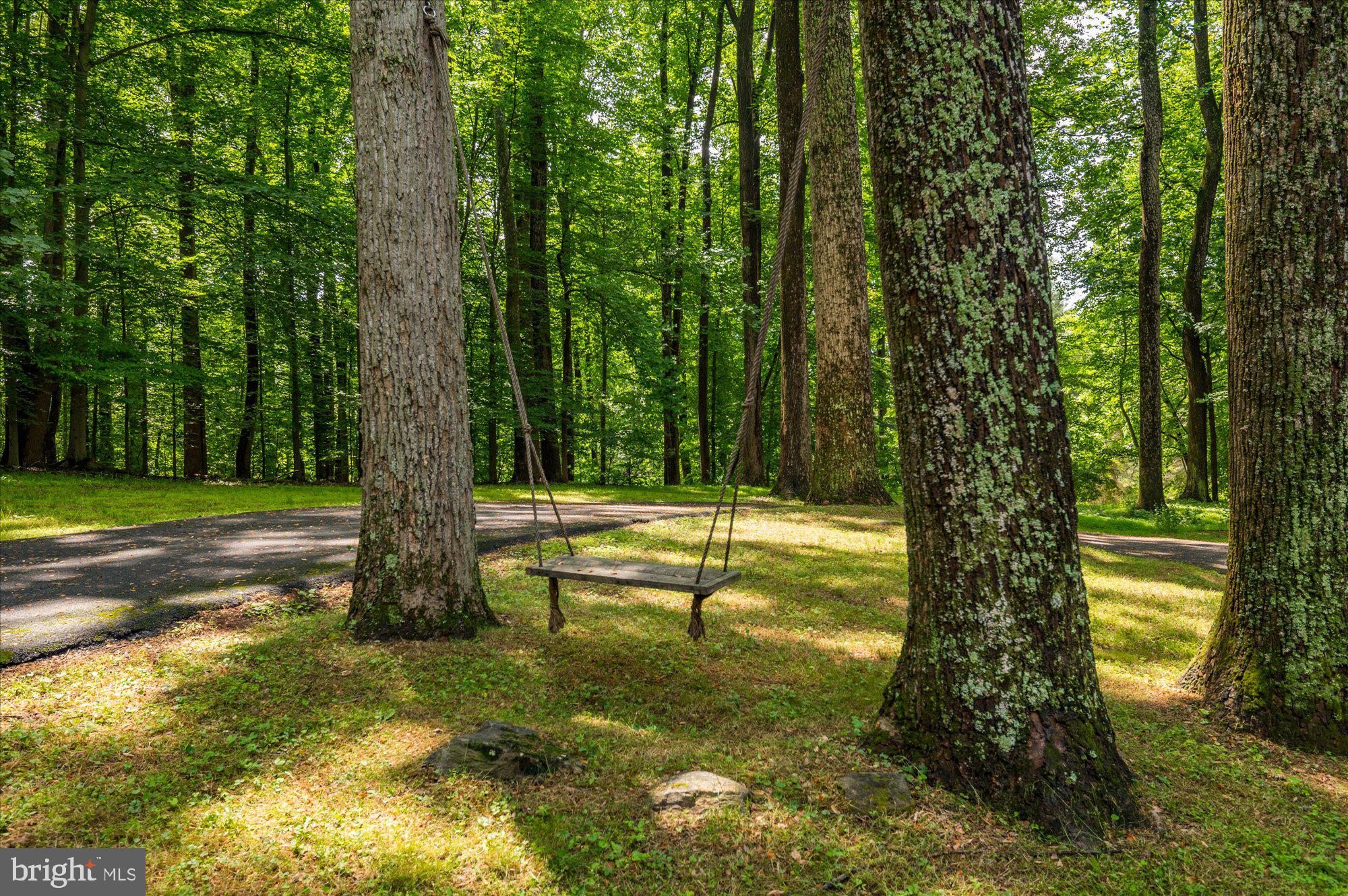 8000 Kingsgate Road Potomac, MD 20854 - Photo 2 of 42