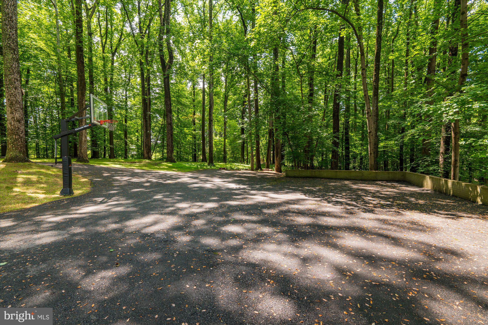 8000 Kingsgate Road Potomac, MD 20854 - Photo 37 of 42