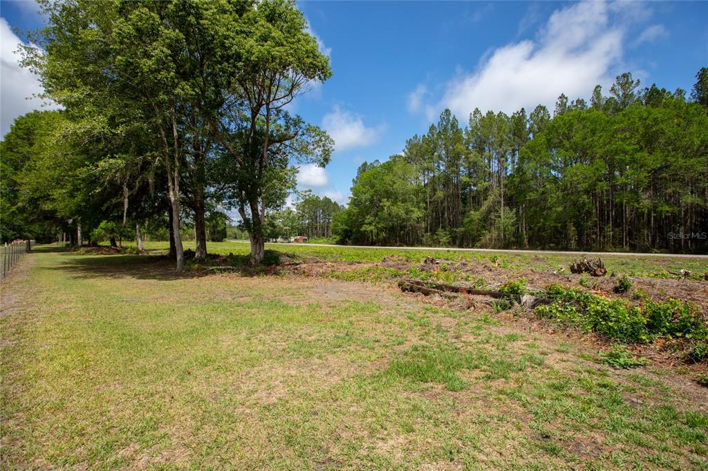 Northwest 185th Street Starke, FL 32091 - Photo 11 of 19 a view of a park with large trees