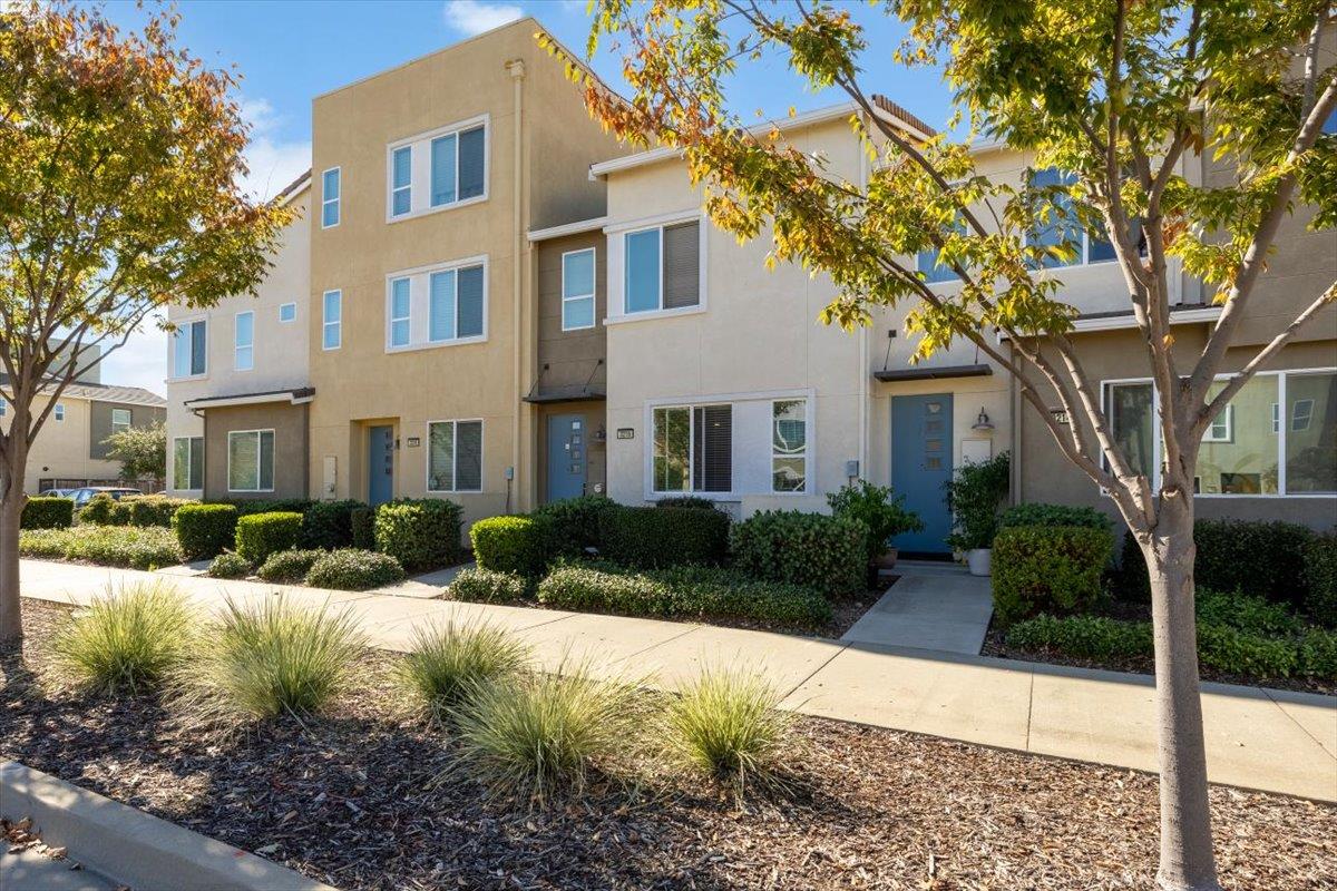 3216 Bridgeway Drive Rancho Cordova, CA 95670 - Photo 1 of 1 a view of a brick house with a yard and large trees
