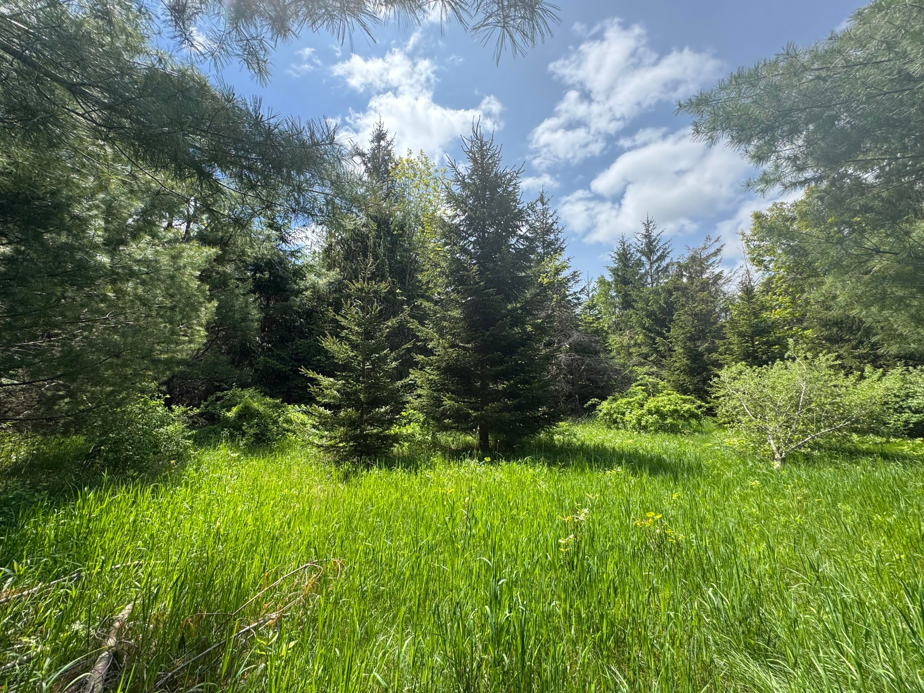 Lot 2 East West Resort Road Alanson, MI 49706 - Photo 3 of 6 Lot 2