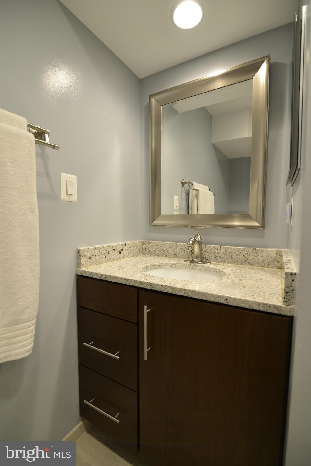 11019 Thrush Ridge Road Reston, VA 20191 - Photo 16 of 25 Bath (Master)