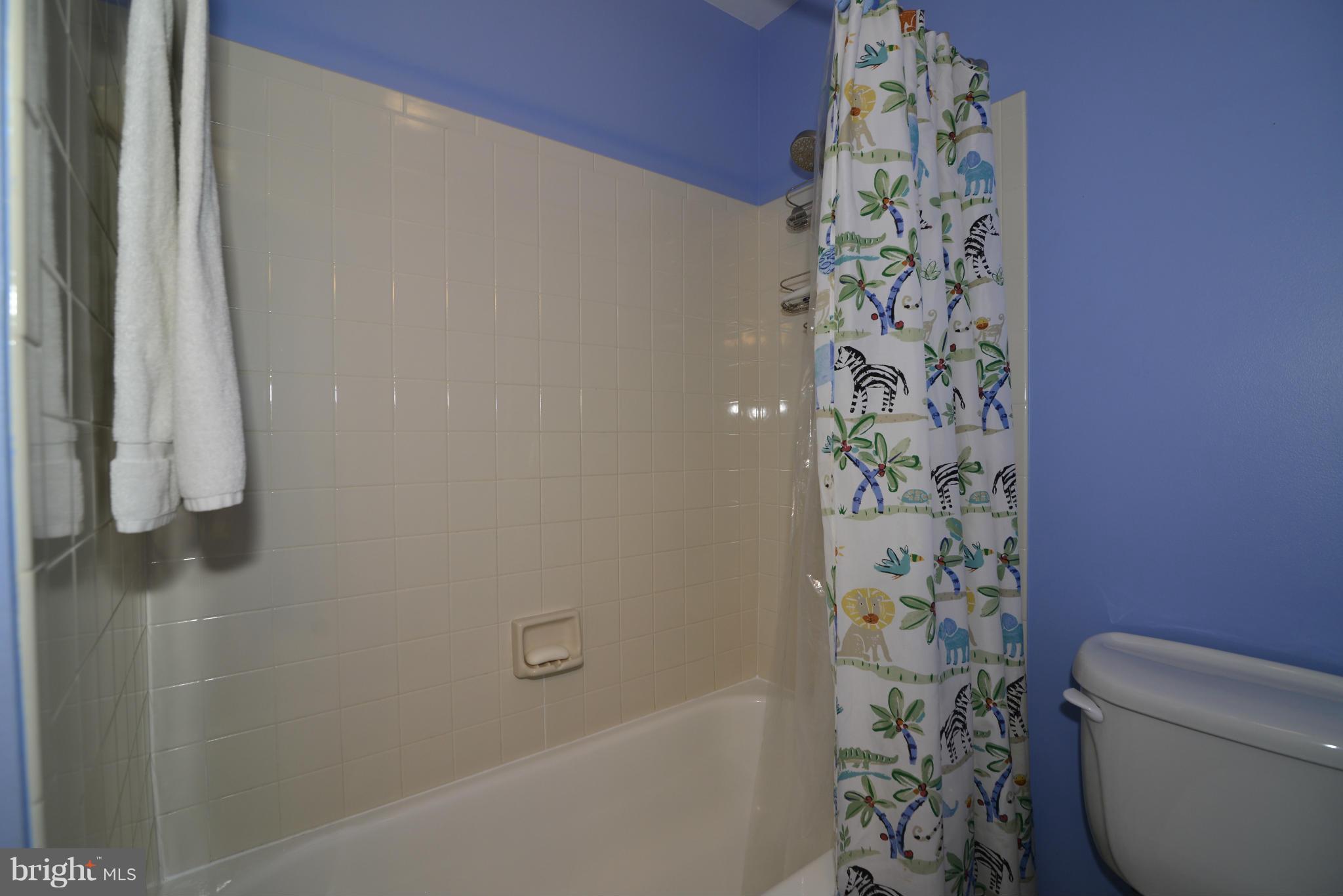 11019 Thrush Ridge Road Reston, VA 20191 - Photo 22 of 25 Bath