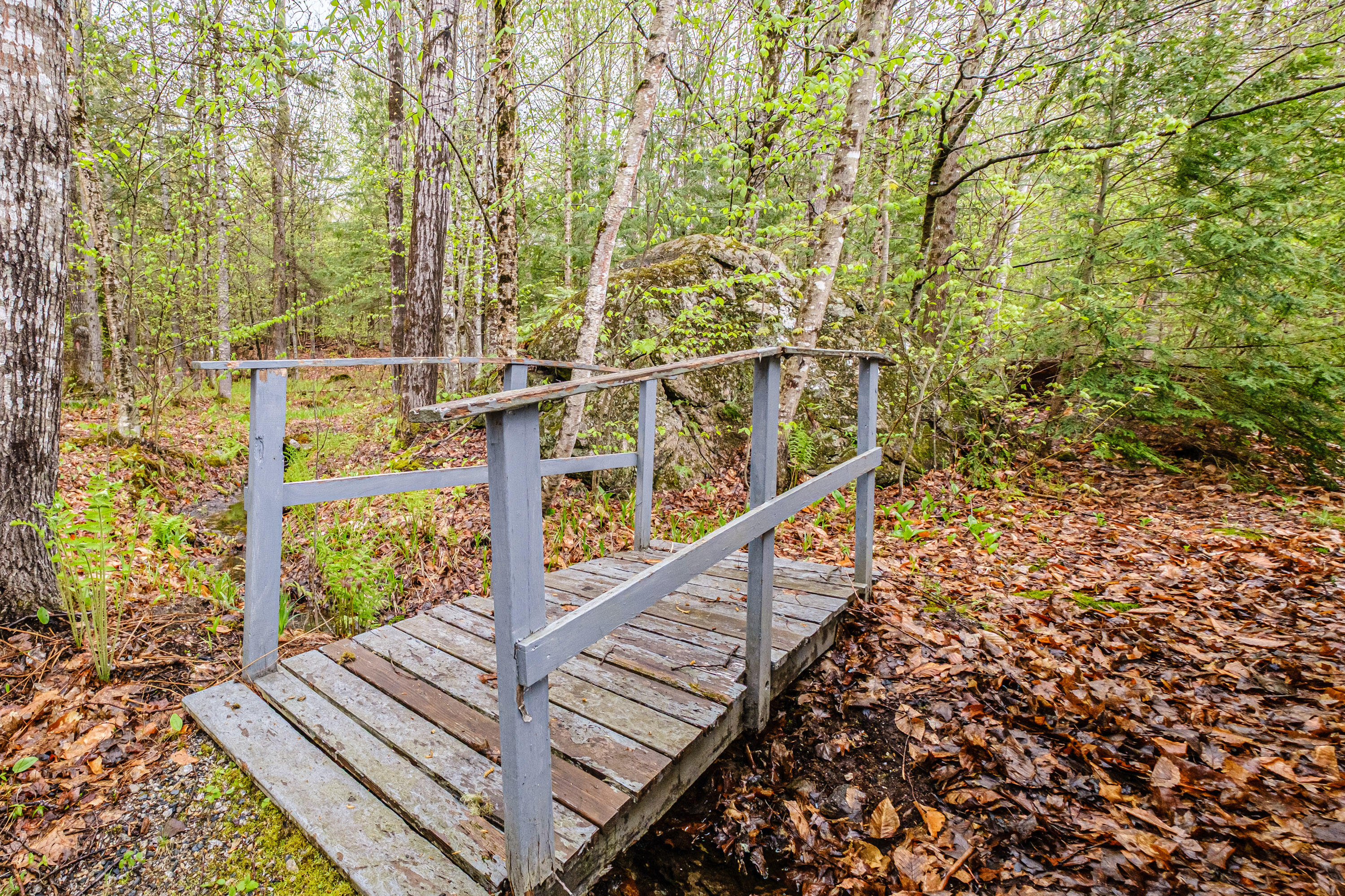 55 Reservoir Road South Paris, ME 04281 - Photo 50 of 61 20250509gp-60054