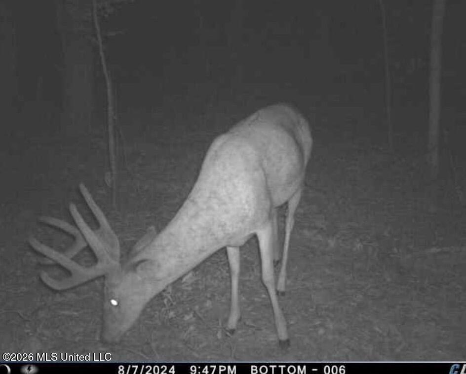 4102 Co Road Sallis, MS 39160 - Photo 24 of 35 1